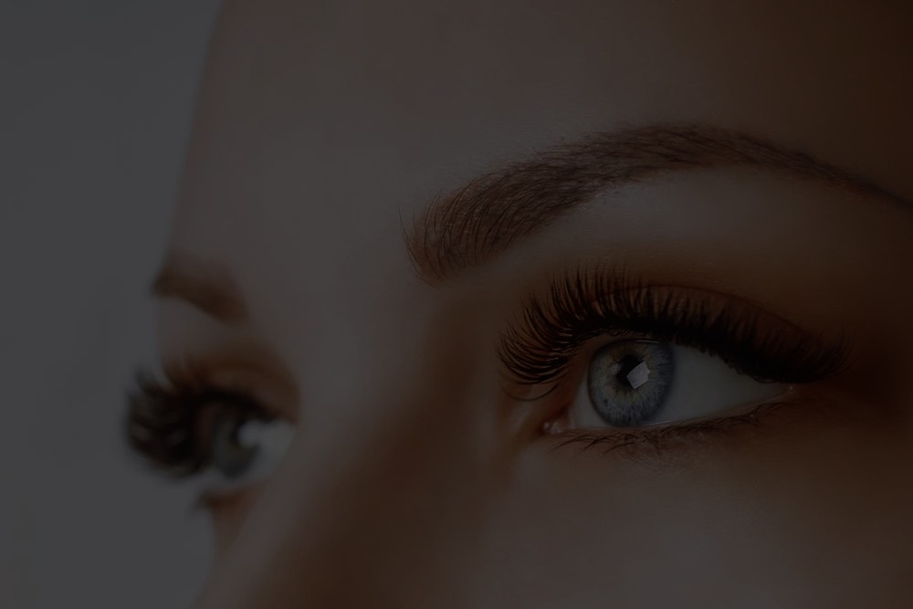 WimpernStudio Bruchsal